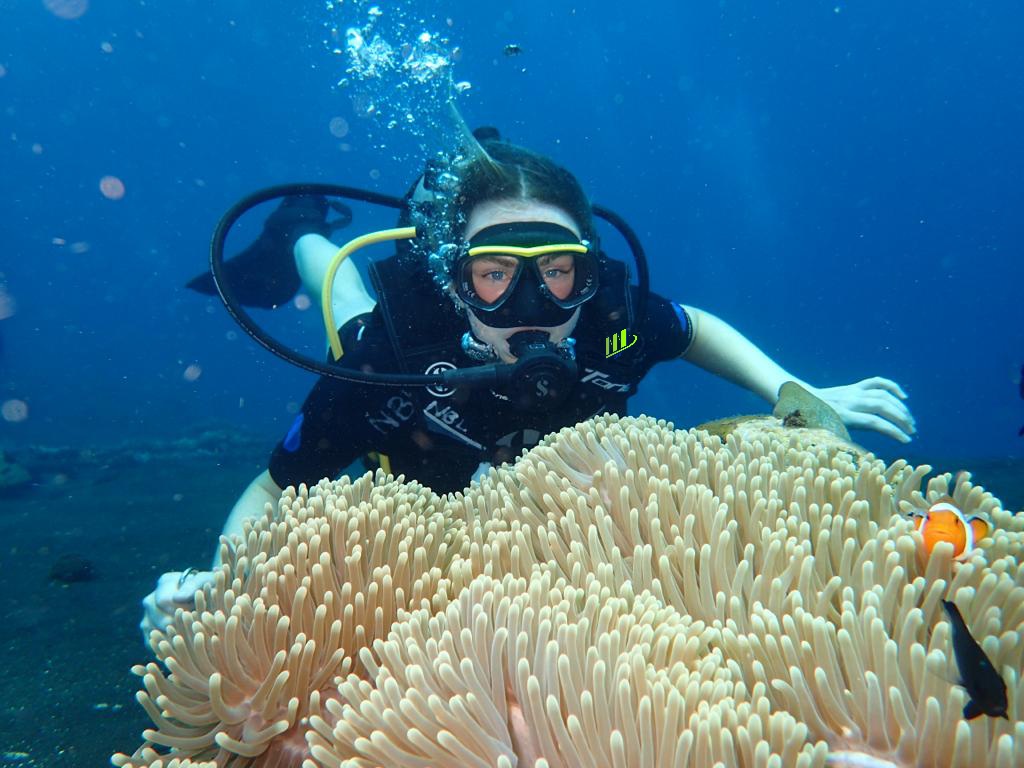 Buceo privado de experiencia guiada de 8 horas en Tulamben - Foto 3