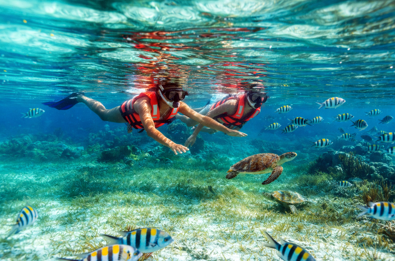 Esnórquel en Arrecifes del Parque Nacional desde Cancún con Almuerzo frente a la Playa — 21/21