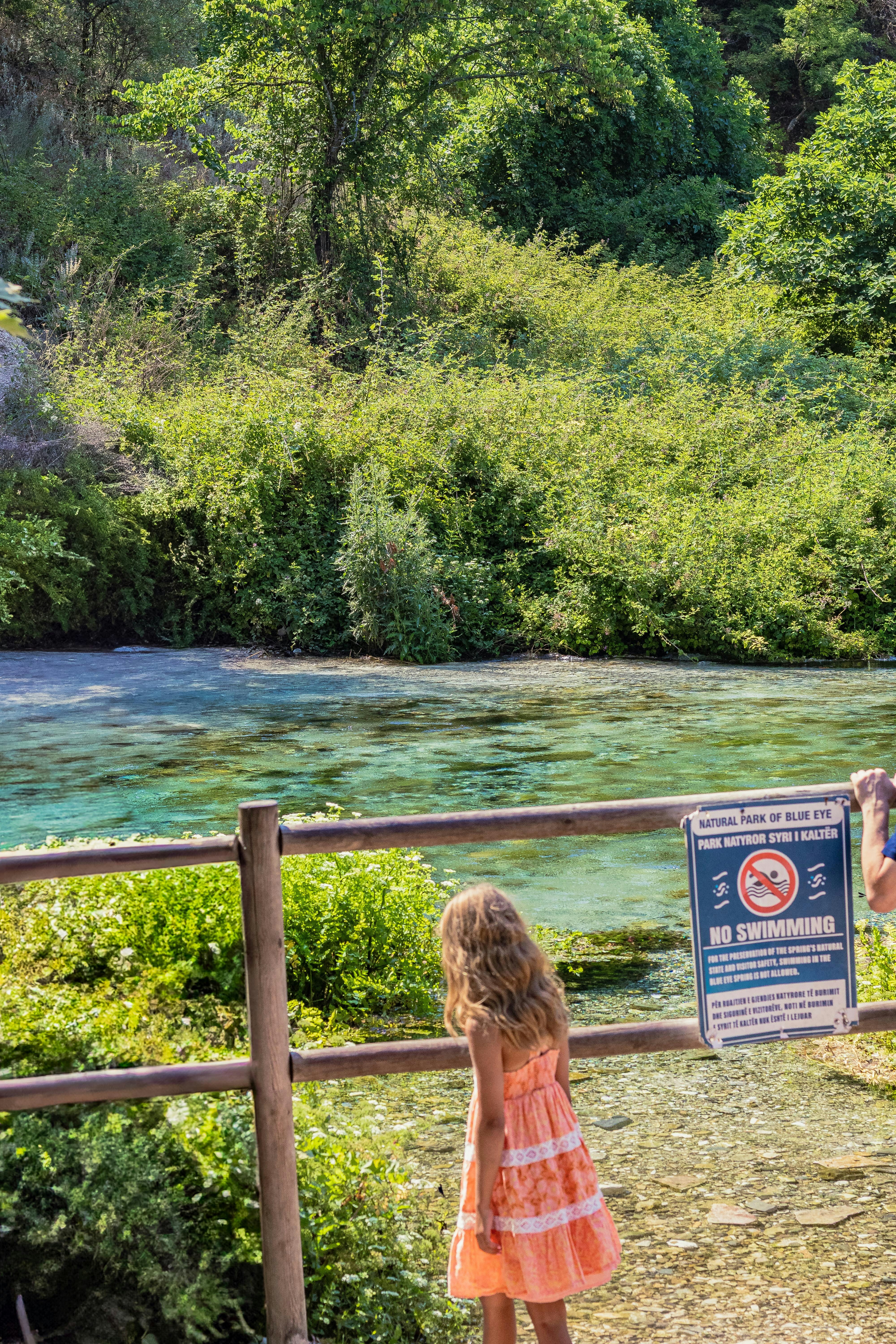 Day trip to the National Park of "Blue Eye" Small Group - from Saranda - Photo 6
