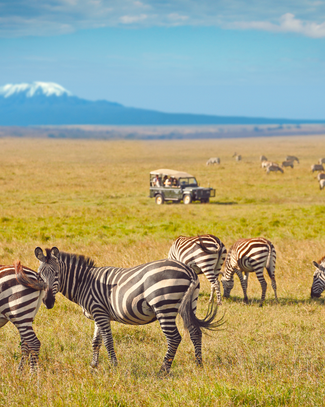 3-Day Private Amboseli Safari from Nairobi – photo 6