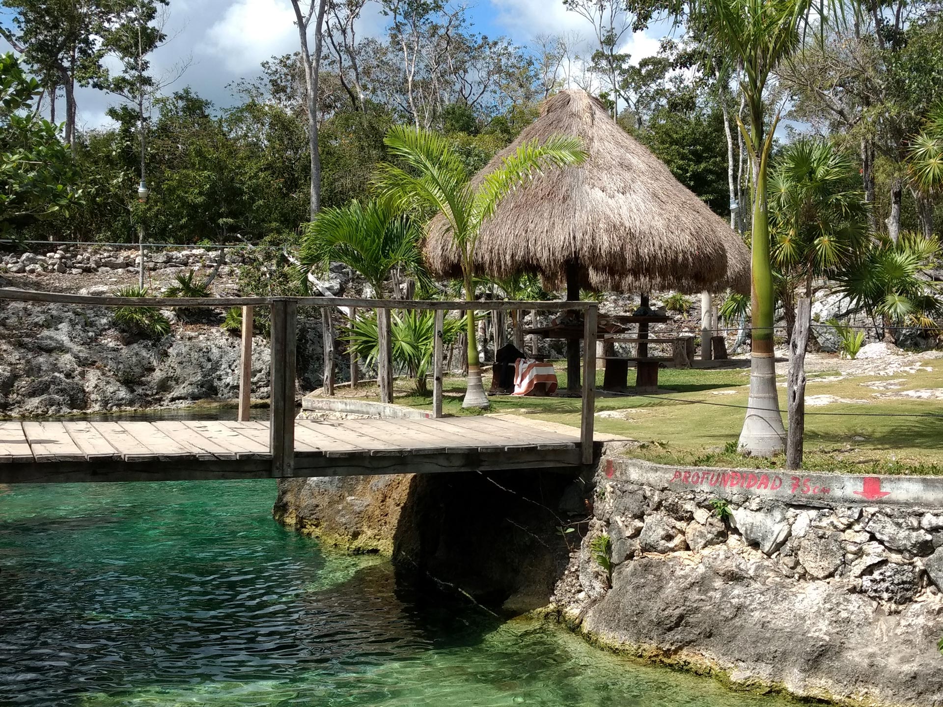 Tour combinado: Tulum, Cenote y 5ta Avenida en Playa Del Carmen desde Cancún - Foto 4