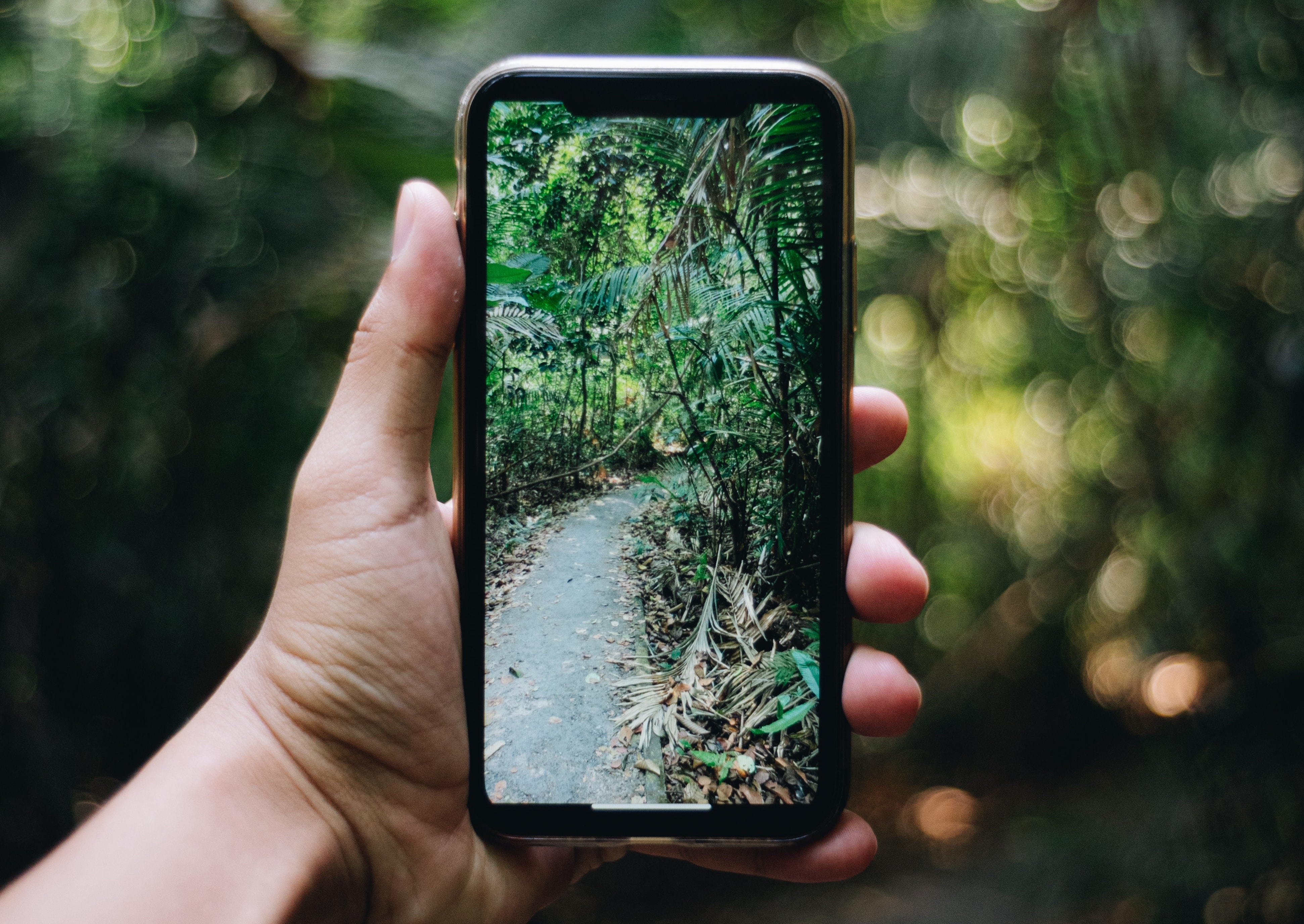 Khao Yai National Park Tour with Waterfalls from Bangkok: Semiprivate or Private Option with Pickup
 - Accommodations in Bangkok