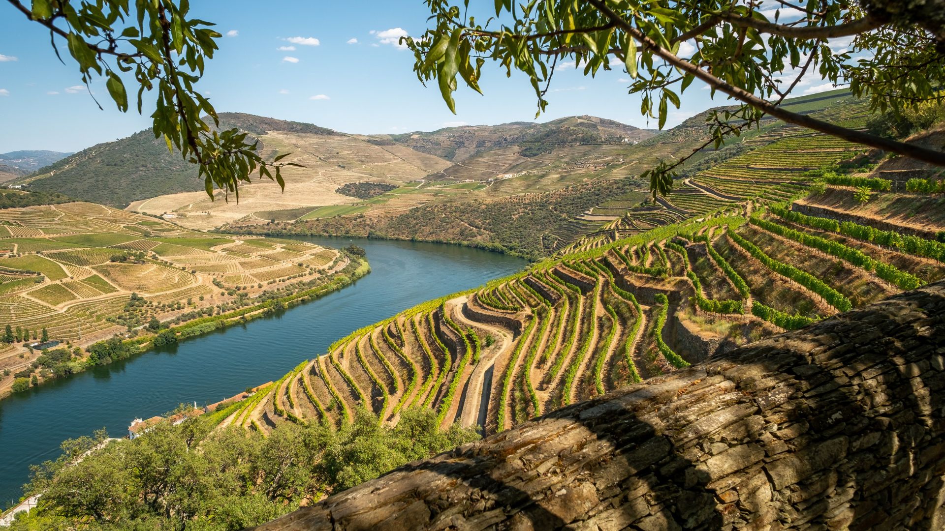 Douro Valley Small Group Tour with Wine Tastings, Lunch and River Cruise  - Photo 4