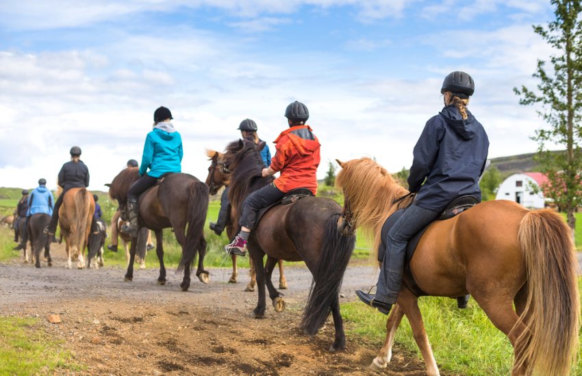 Horseback Riding from San Gimignano  - Photo 3