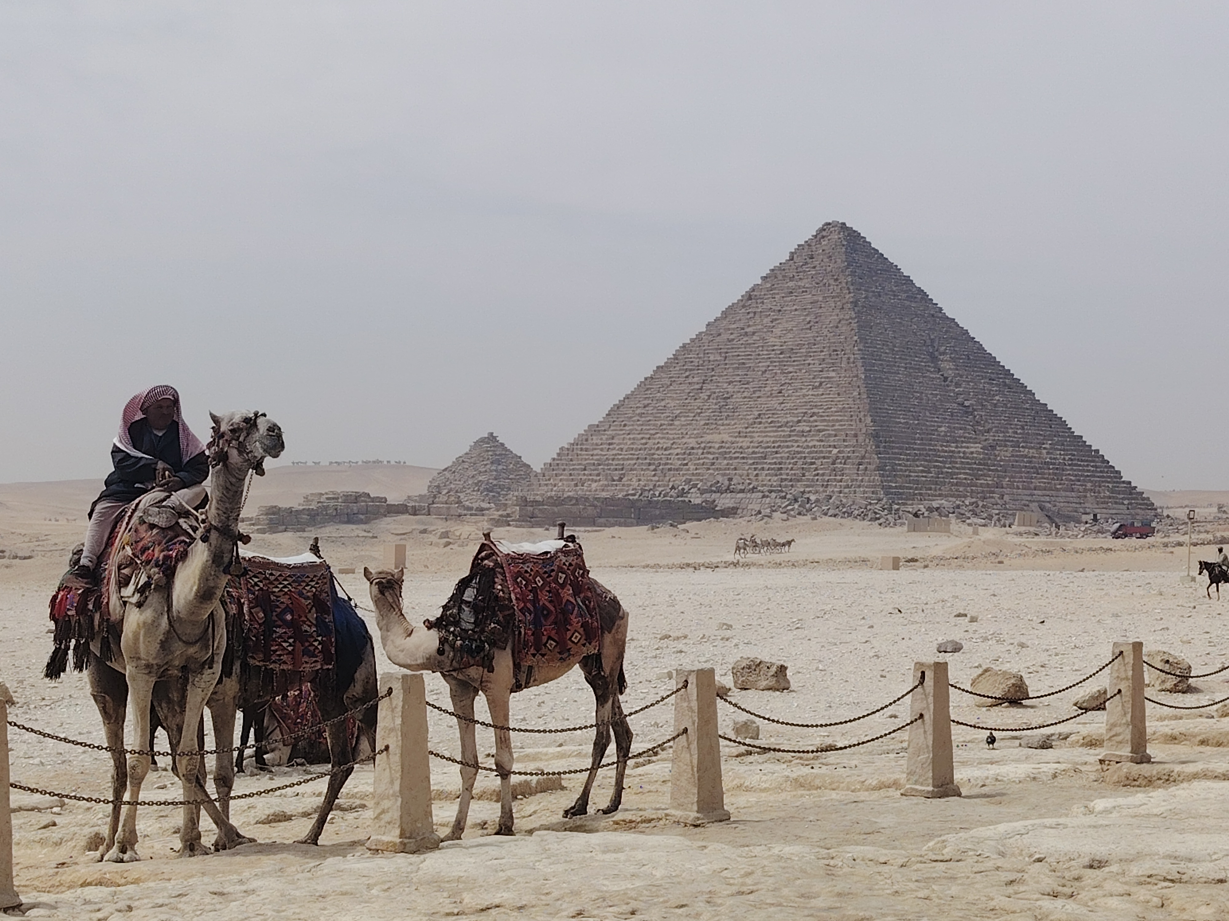 Pirámides premium en El Cairo durante el día, museo antiguo y almuerzo - Hurghada - Foto 4