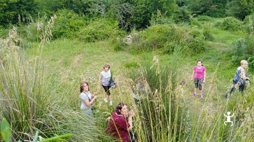Cilento: discovering the art of broom spinning in Tortorella - Photo 2