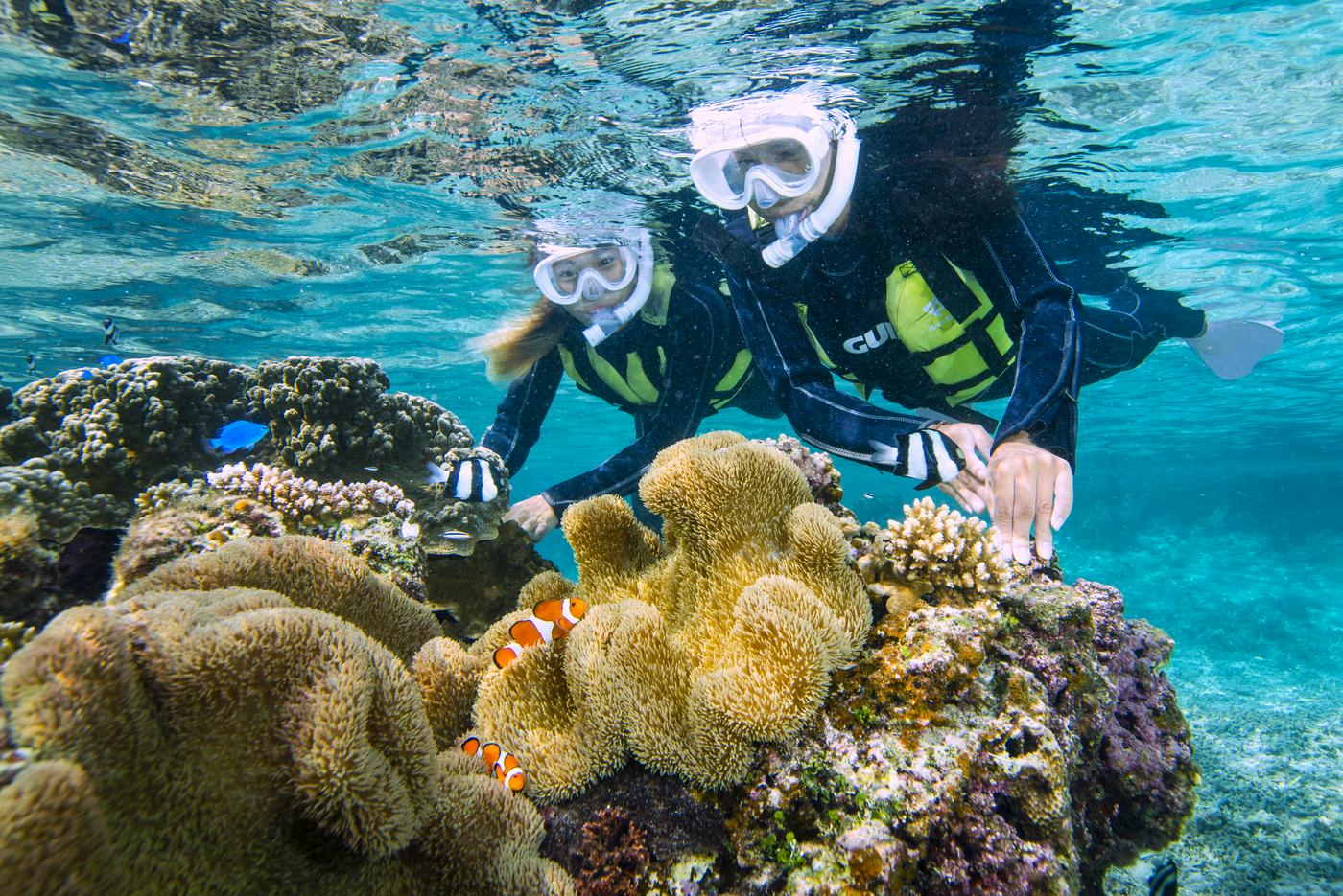 JTB�@���̉߂������i����j�̃C���[�W