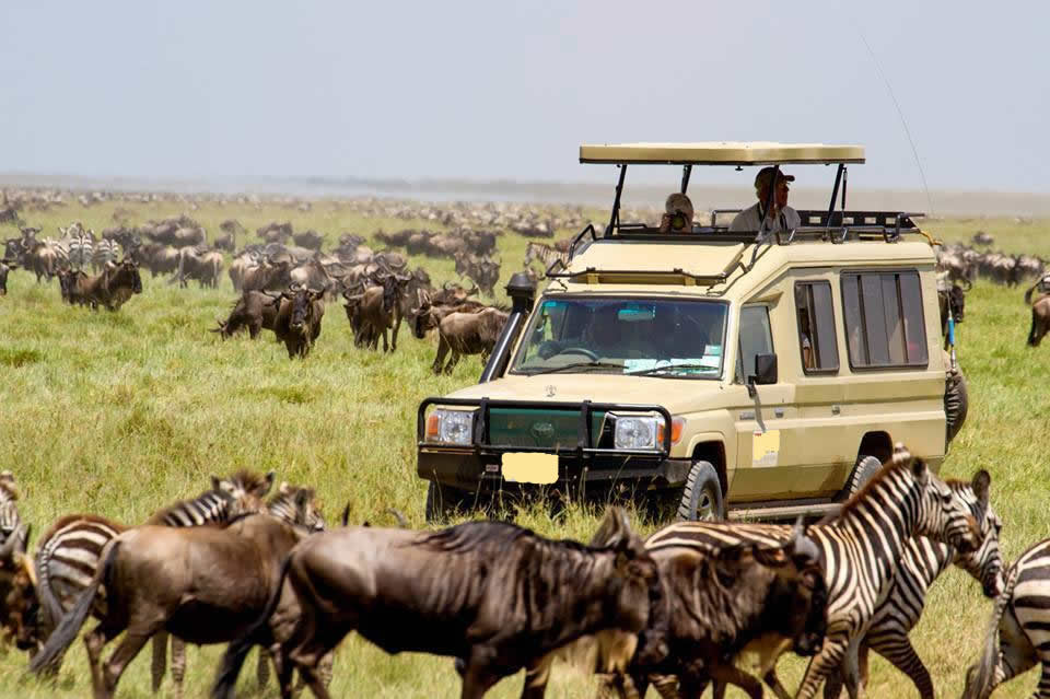 8 días de safari africano por Masai Mara, lago Manyara, Ngorongoro y Serengeti - Foto 2