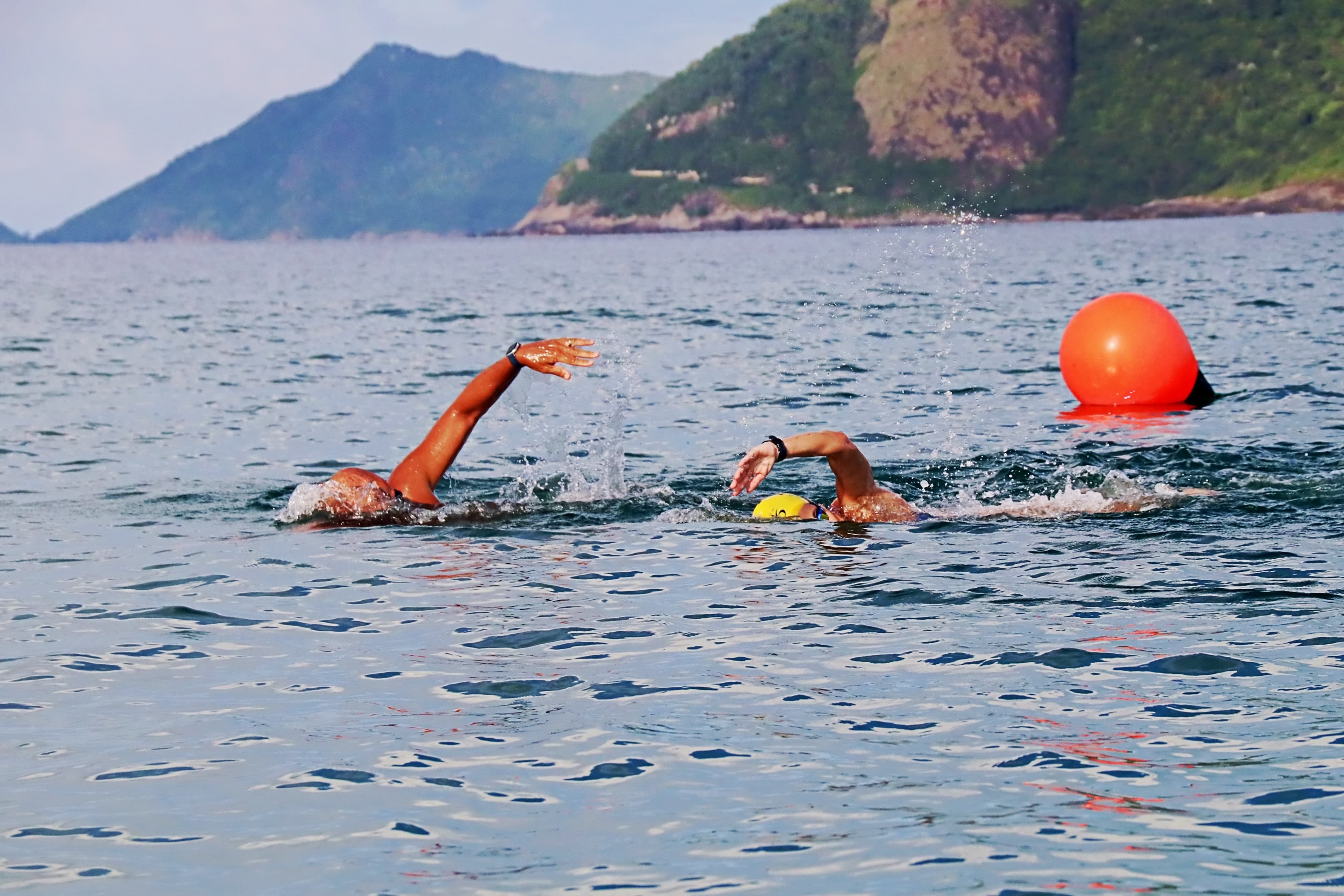 Experiencia de natación en el océano | Lado Oeste de Río