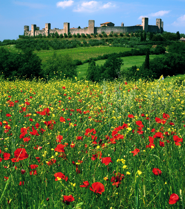 Chianti and Castle from San Gimignano  - Photo 6