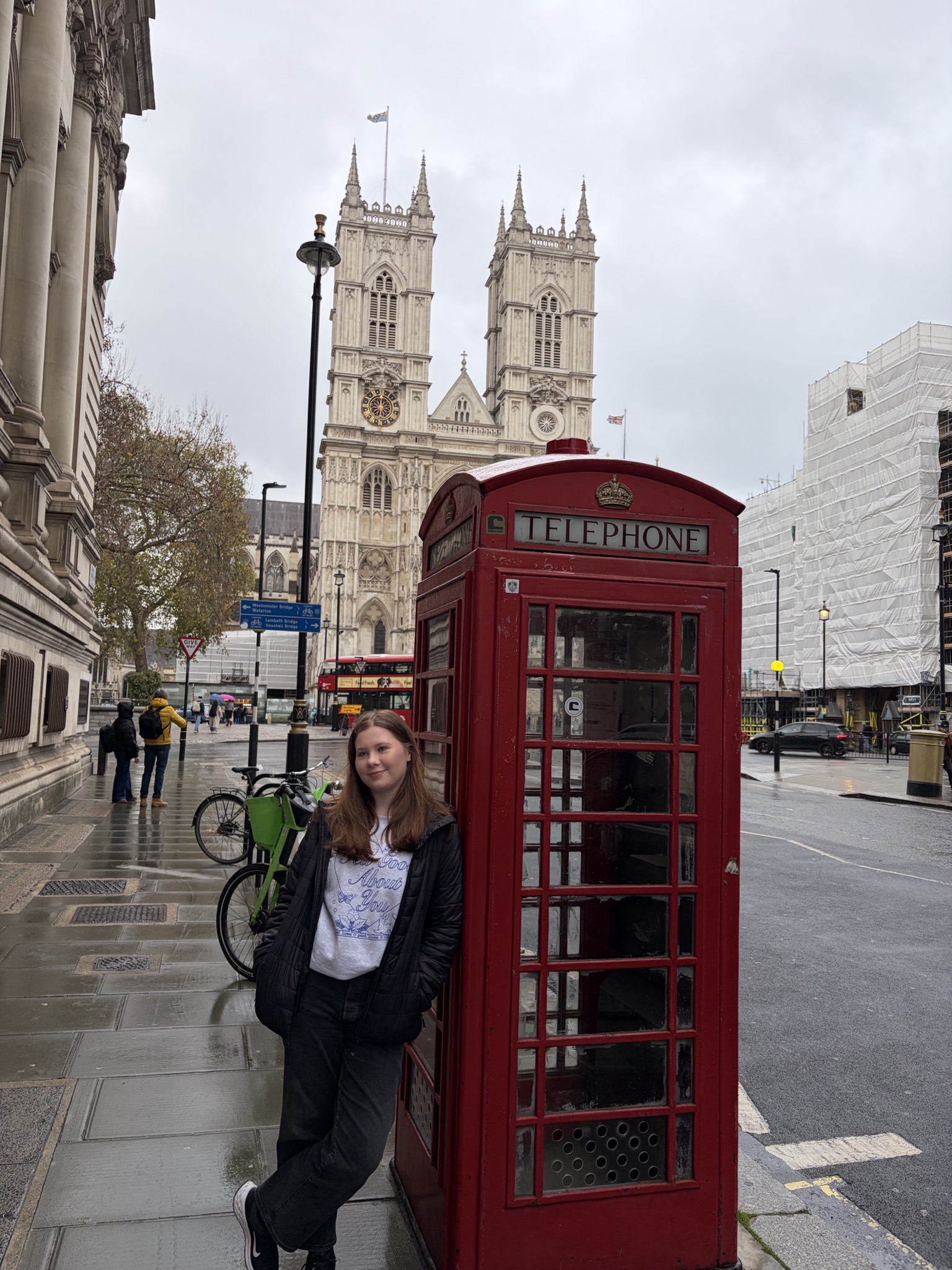 Classic London Highlights: Private Taxi Tour – photo 6