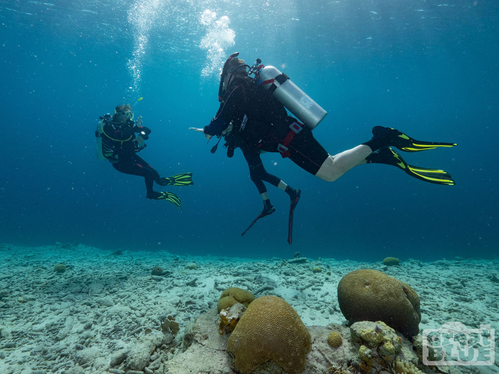 Discover Scuba Dive experience