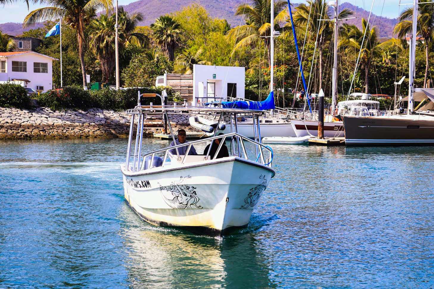Chica Super Panga 30' Private Boat Tour Upto 10 People — 24/24