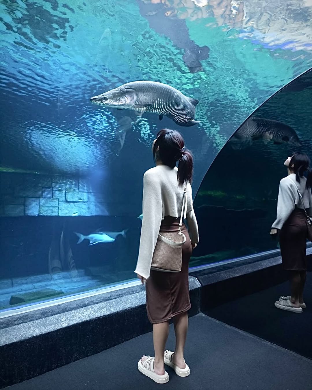 Aquaria Phuket Aquarium Visit – Image 2 | WeShare