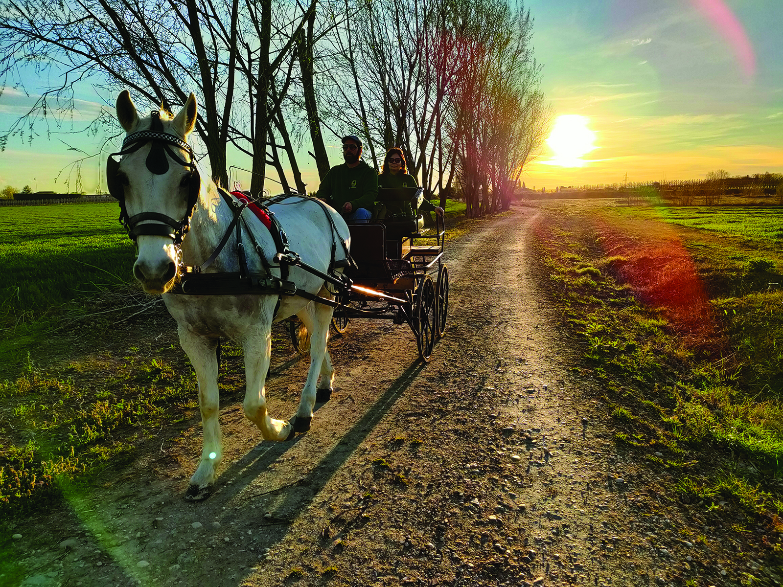 Horse Carriage Tour in Lazise: Romantic Lake Garda Experience - Photo 8