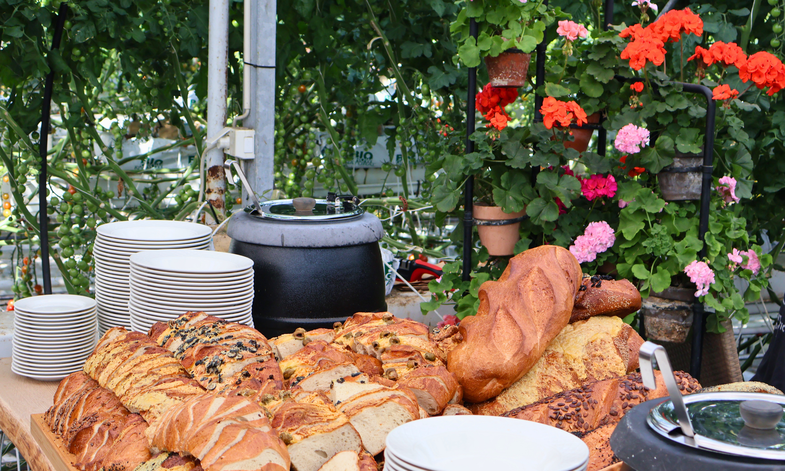Private Golden Circle Classic Tour with Kerið Crater and Friðheimar Tomato Farm - photo 14