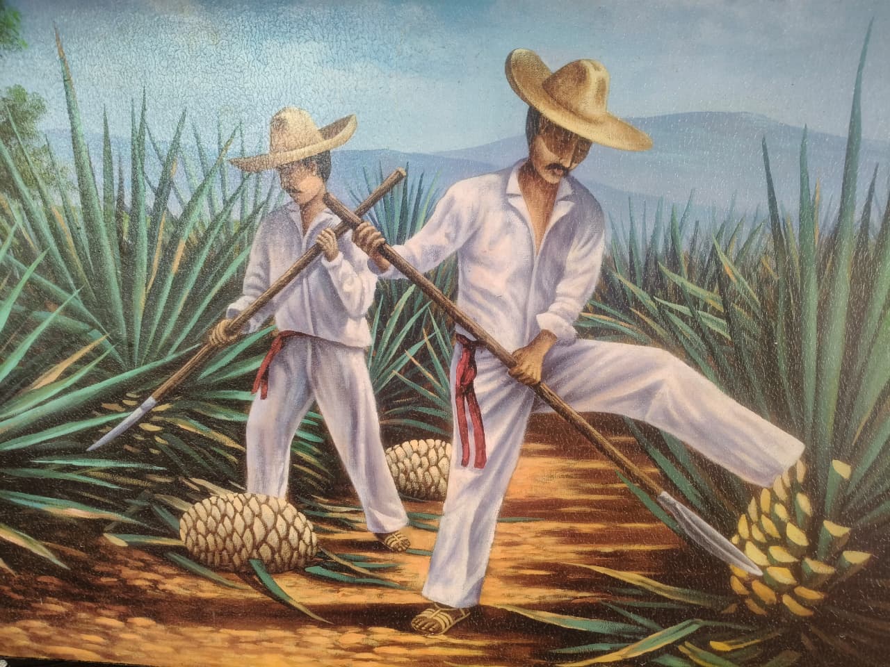 Desde Puerto Vallarta Tour Playa, Tequila y Rio — 9/18