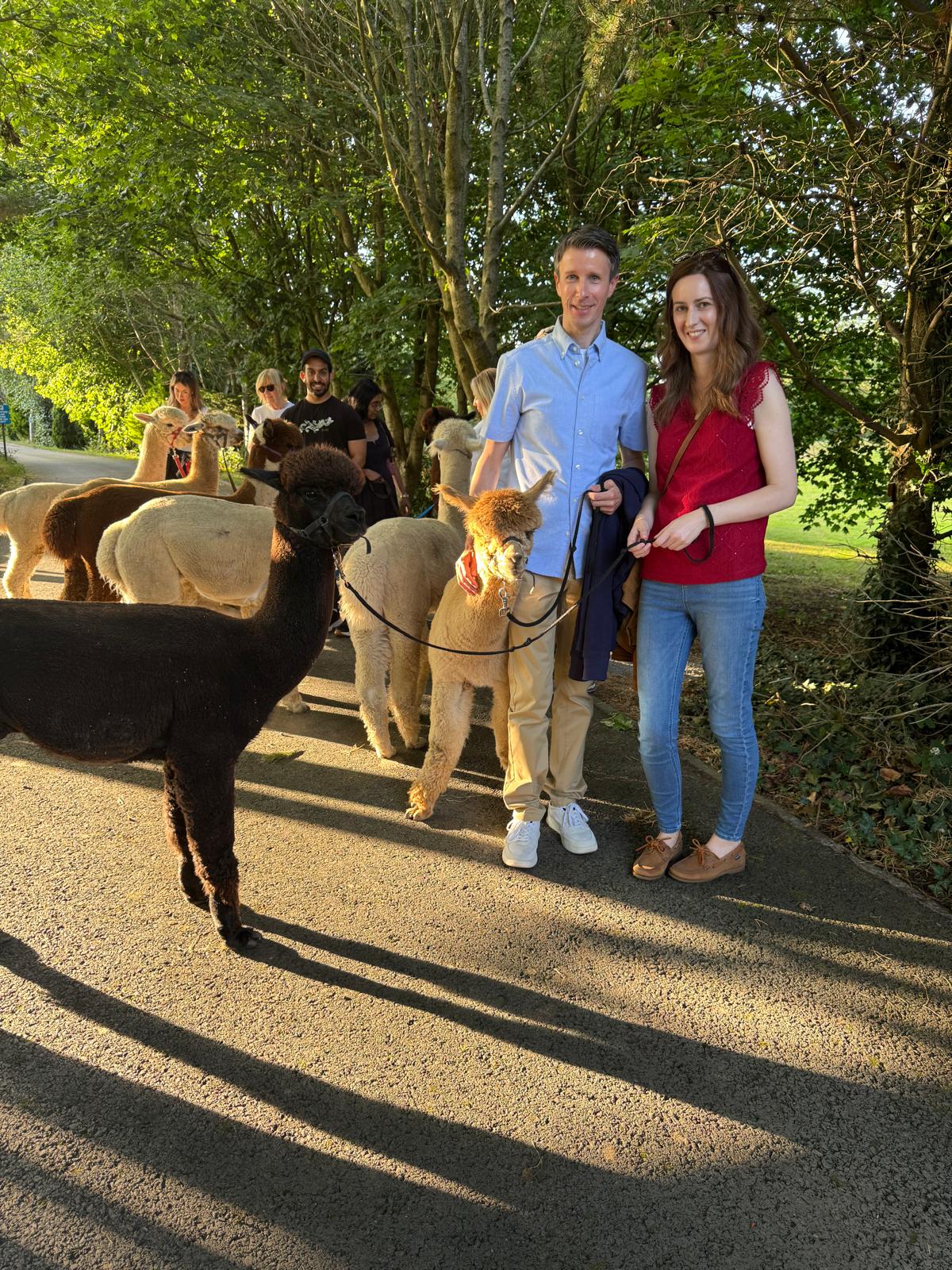 Golden Hour Alpaca Trekking & Luxury Charcuterie Board – photo 4