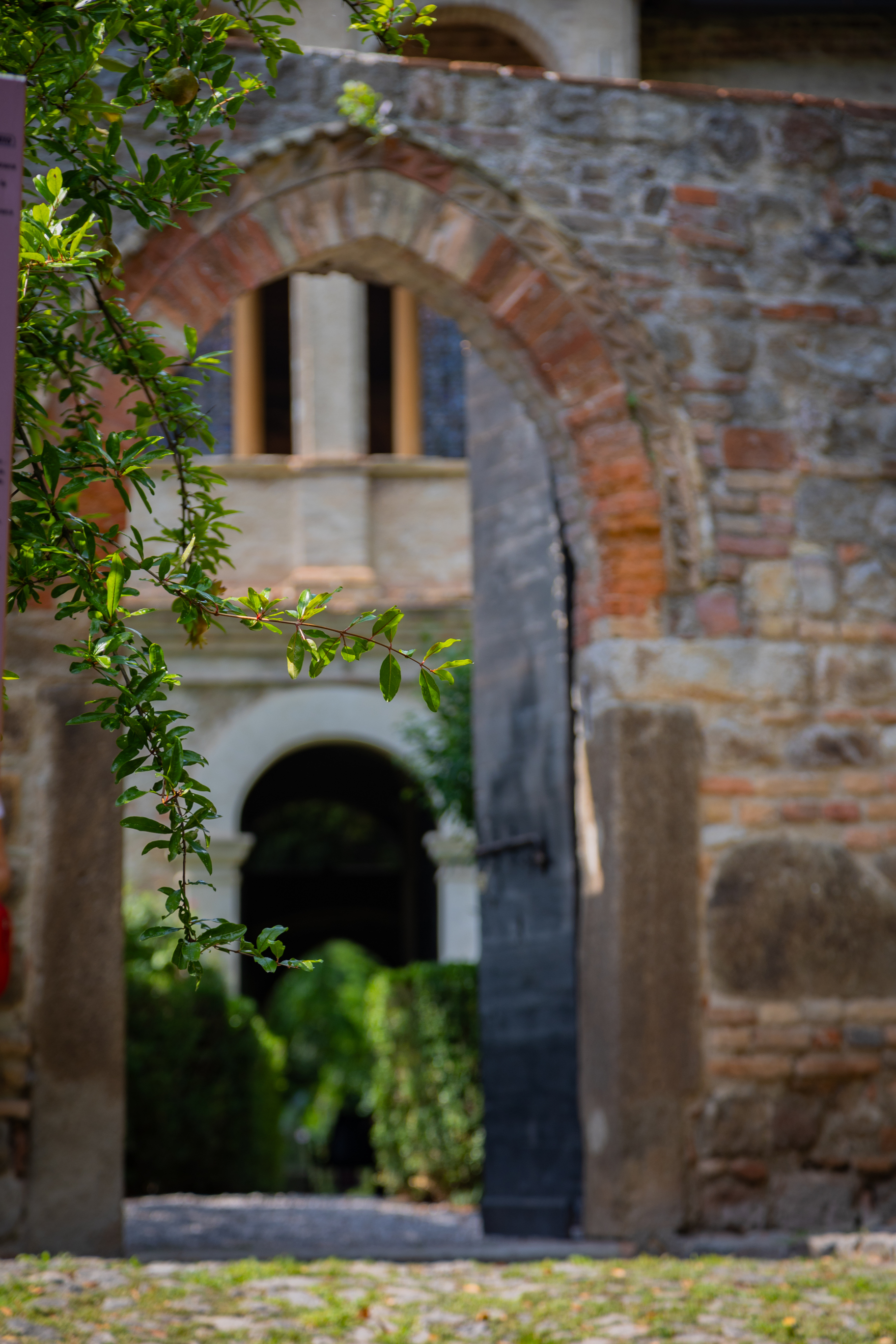 From Padua: Tour to Arquà Petrarca medieval village  - Photo 6