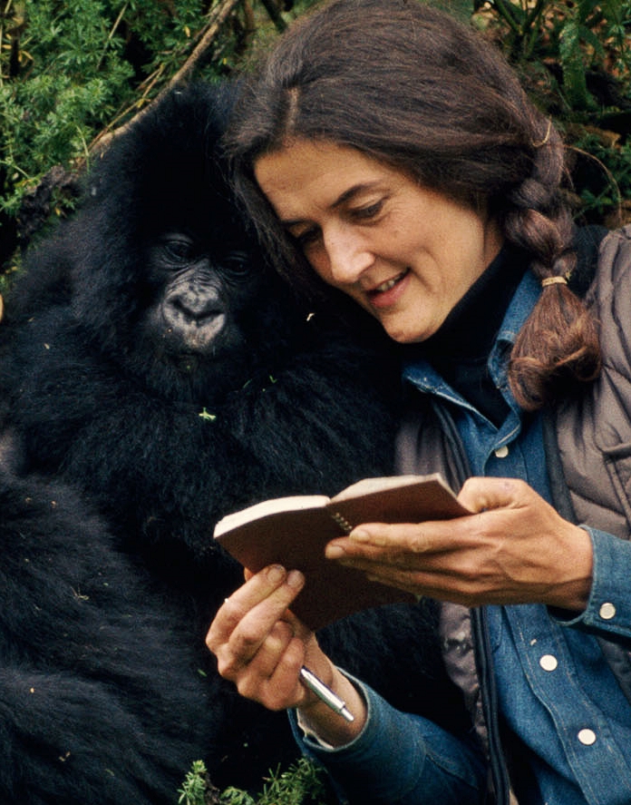 Dian Fossey Tomb Hike & Karisoke Memorial Trek