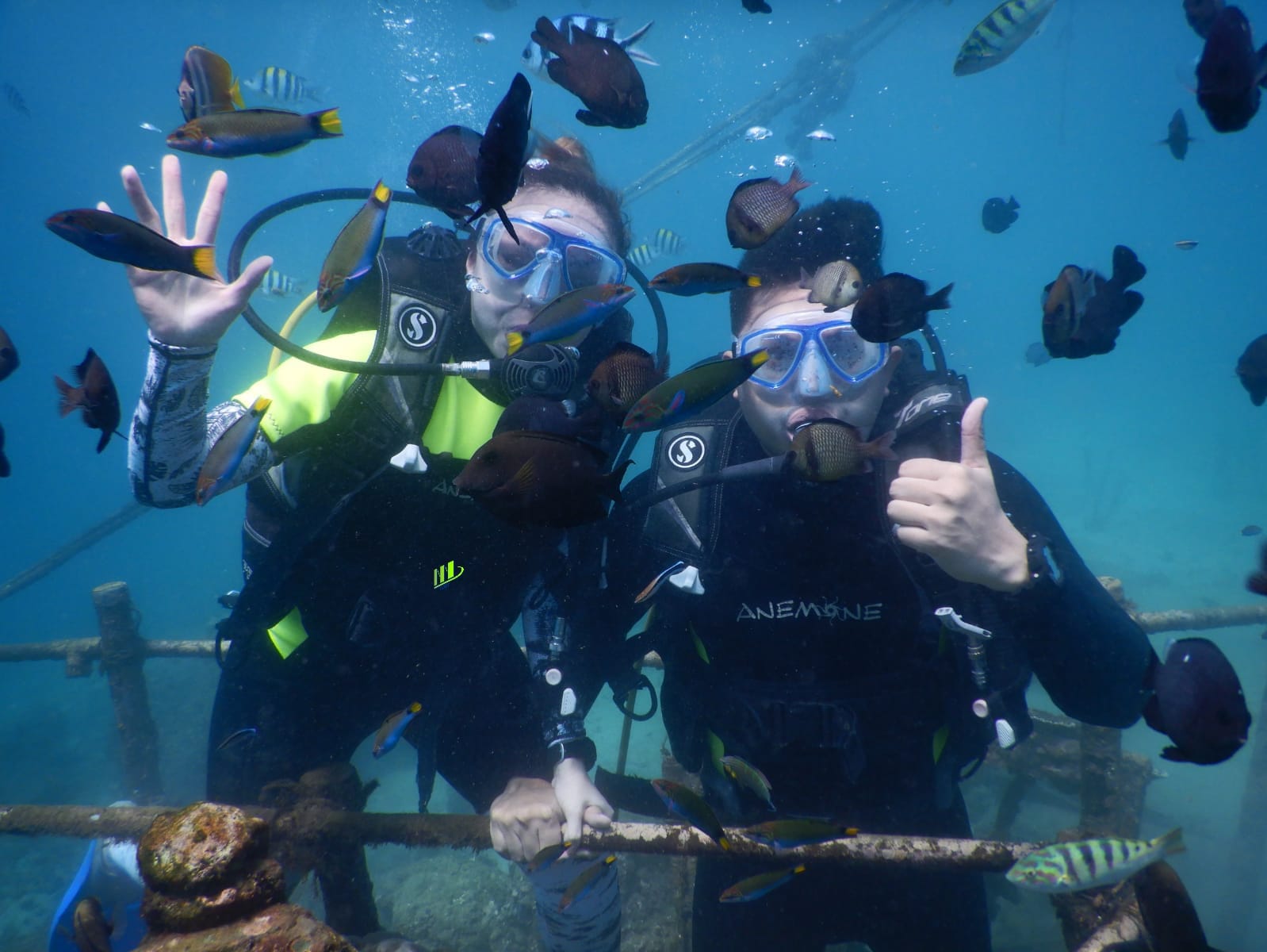 Experiencia de buceo privado en Bali en Nusa Dua