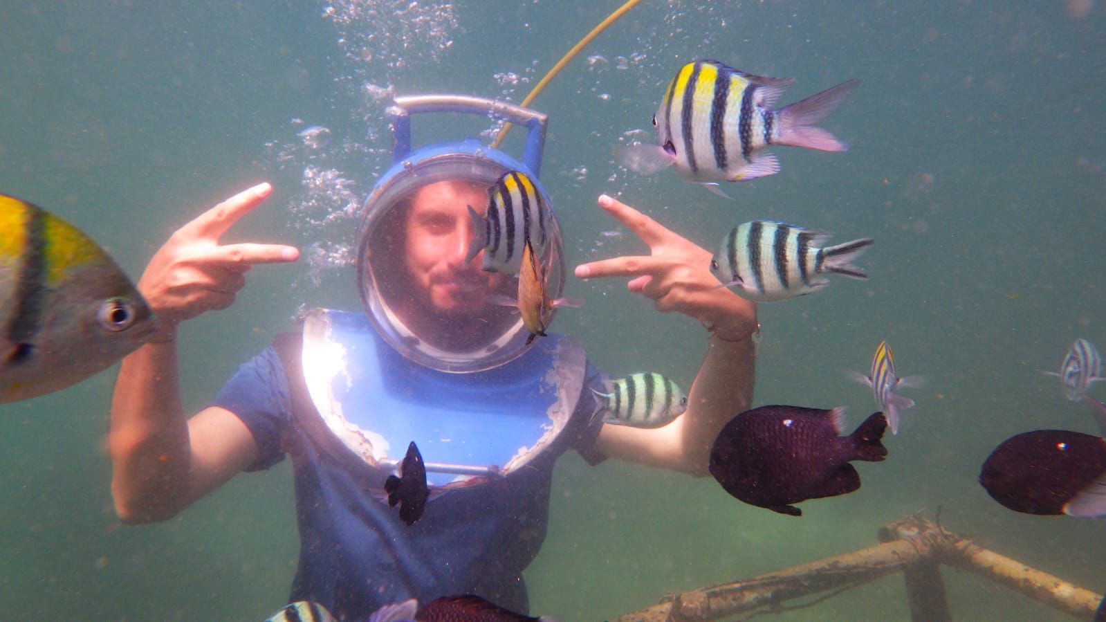Half Day Guided Underwater Sea Walk Experience in Nusa Dua – photo 1