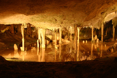 Guided Tour of Can Marçá Cave in Puerto de San Miguel with Entry Included