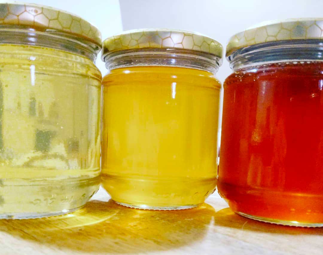 Bosa: discover the products of the beehive - Photo 4