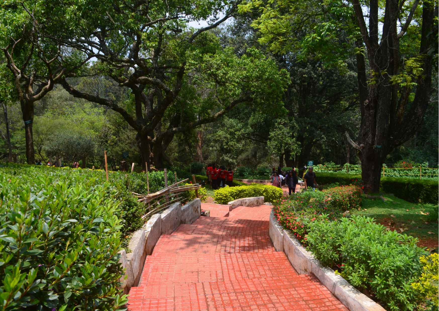 Day Trip to Coonoor (Guided Sightseeing Tour by Car from Ooty) - Photo 8