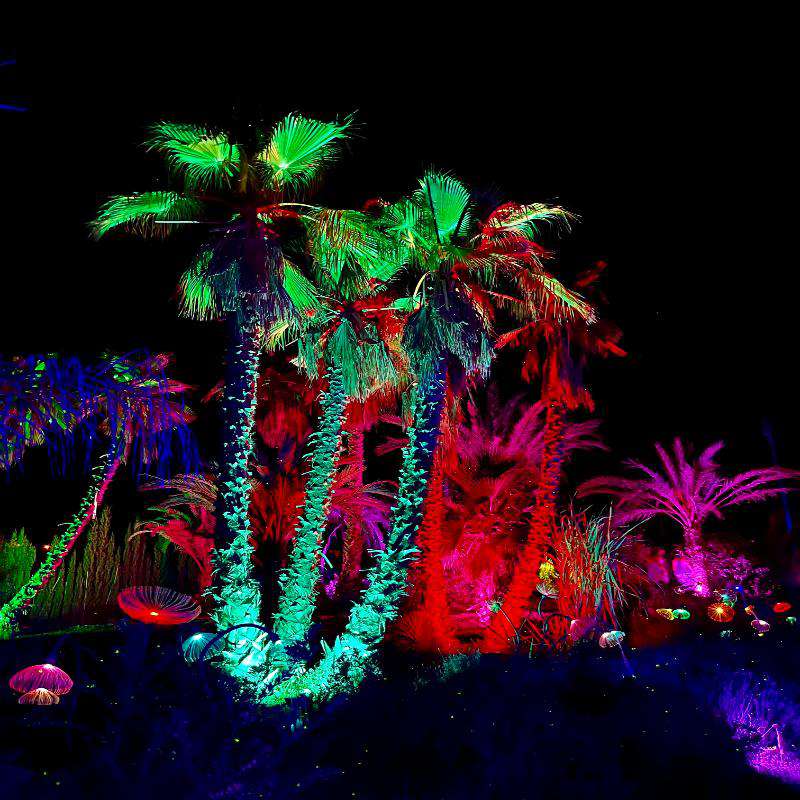 Night ticket for BiBo Park Ibiza with show and planetarium access