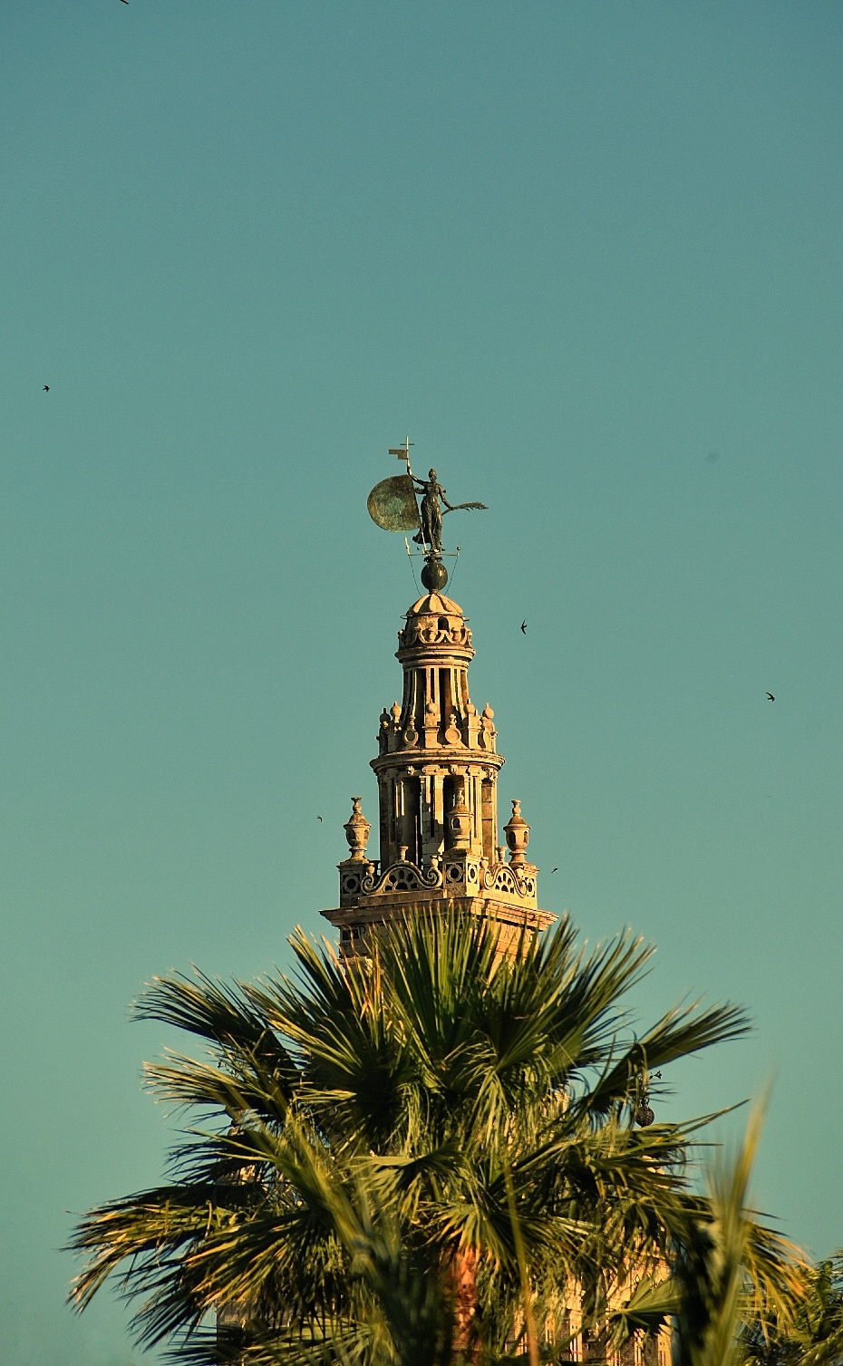From Huelva Coast: Seville Private Full Day Trip
