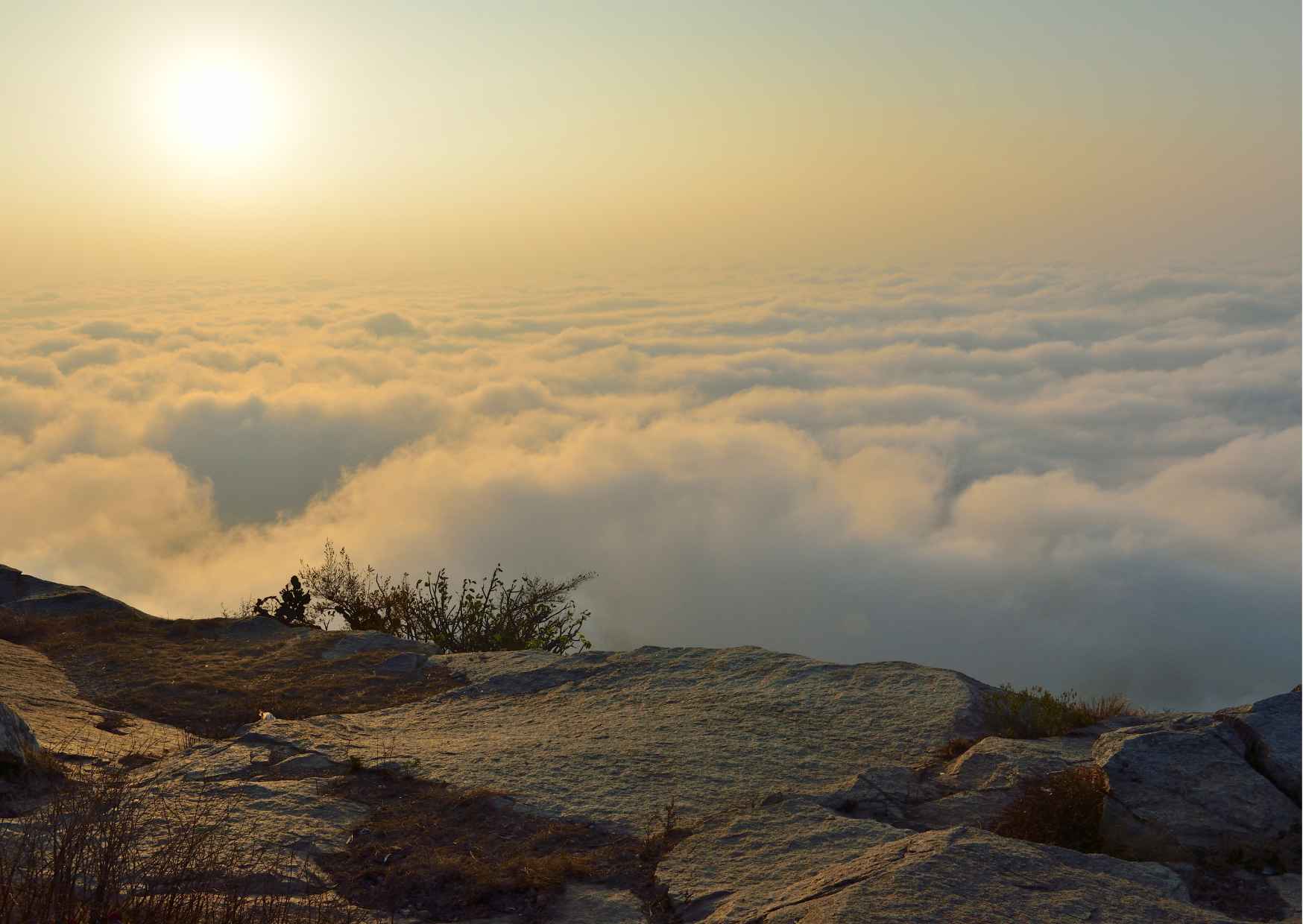 Day Trip to Nandi Hills (Guided Private Sightseeing Experience from Bangalore) - Photo 7