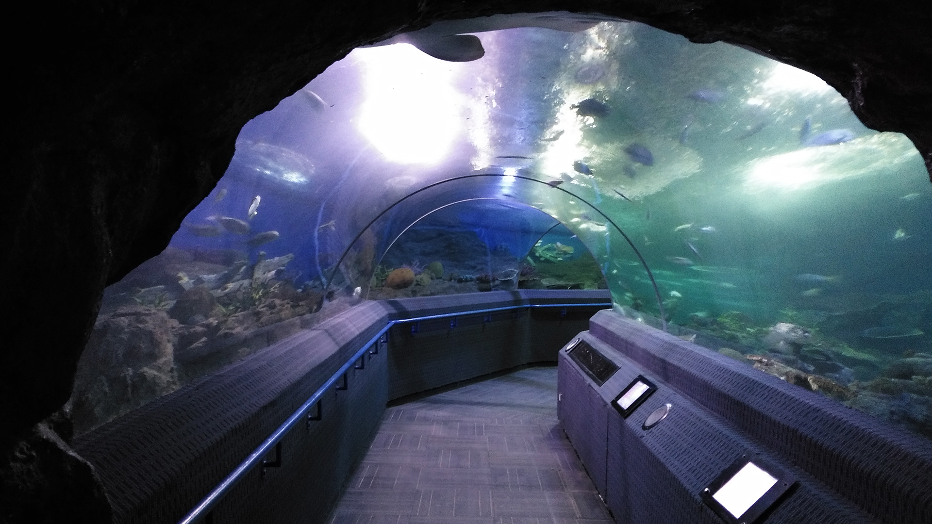 Entrada al mundo submarino de Pattaya - Foto 2
