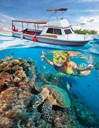 Cancun City Pass ( Choices) - Photo 20