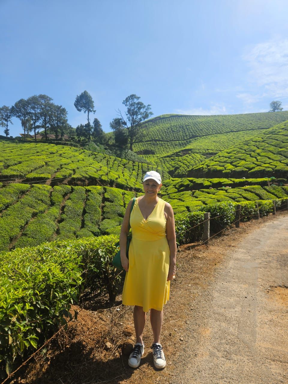 Lo mejor de Kerala: una aventura escénica y cultural