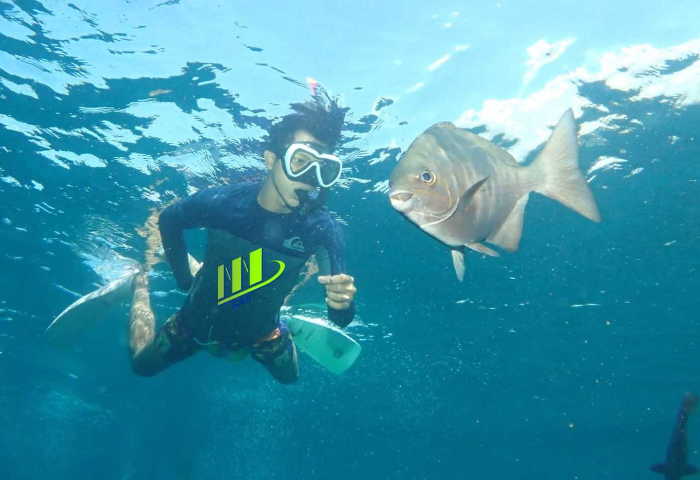 Tulamben Snorkel en USAT Liberty Shipwreck Karangasem Bali - Foto 4