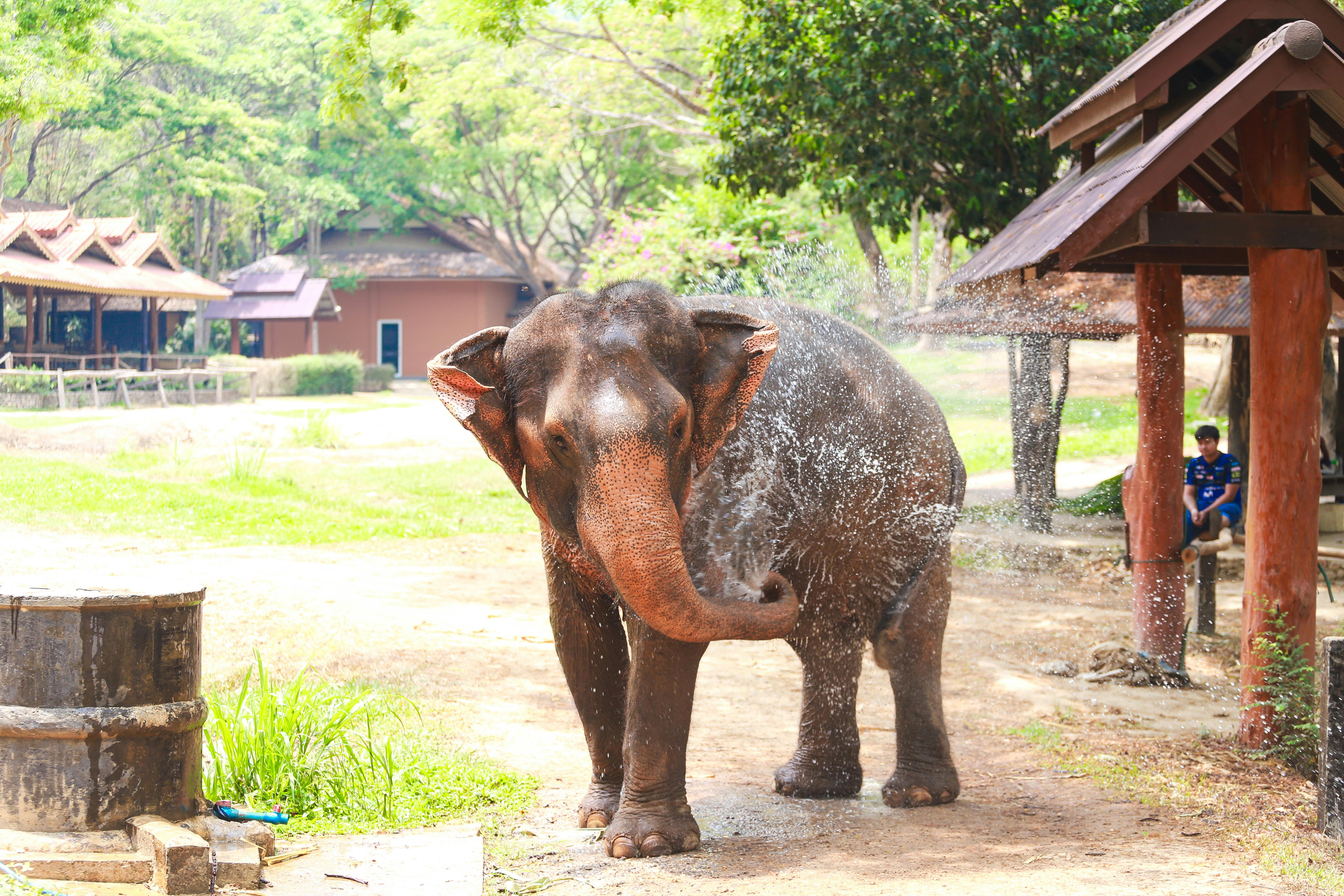 Safari World – Image 2 | WeShare