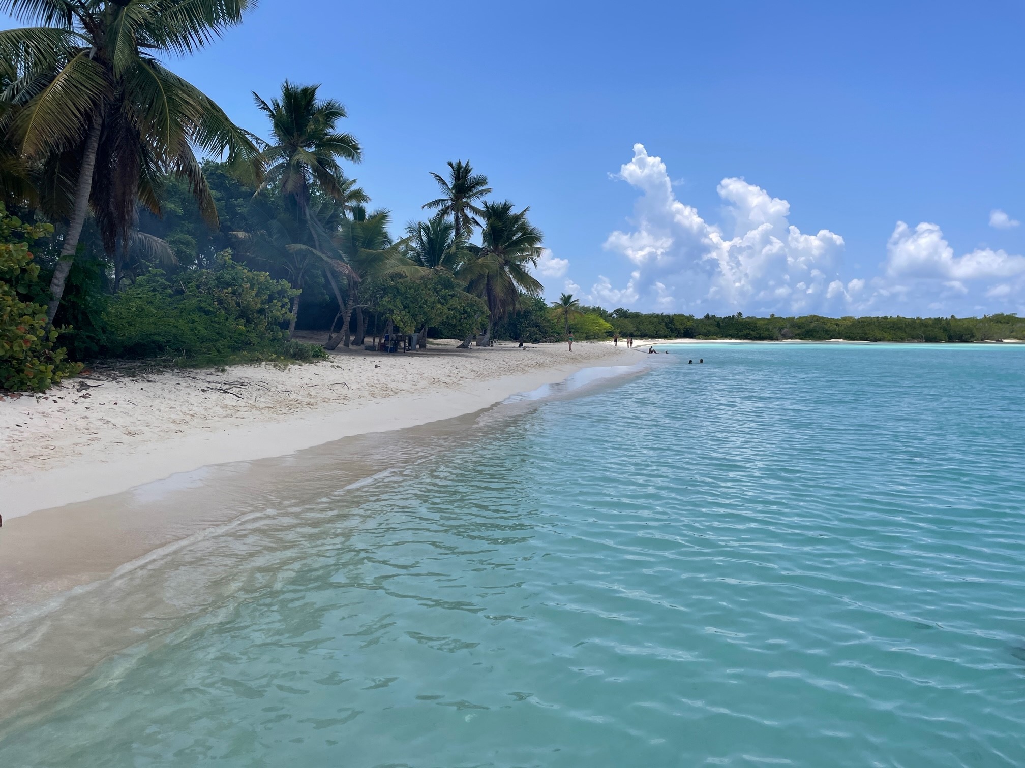 Saona Privado - Foto 2