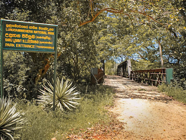 Lunugamvehera National Park Shared Safari