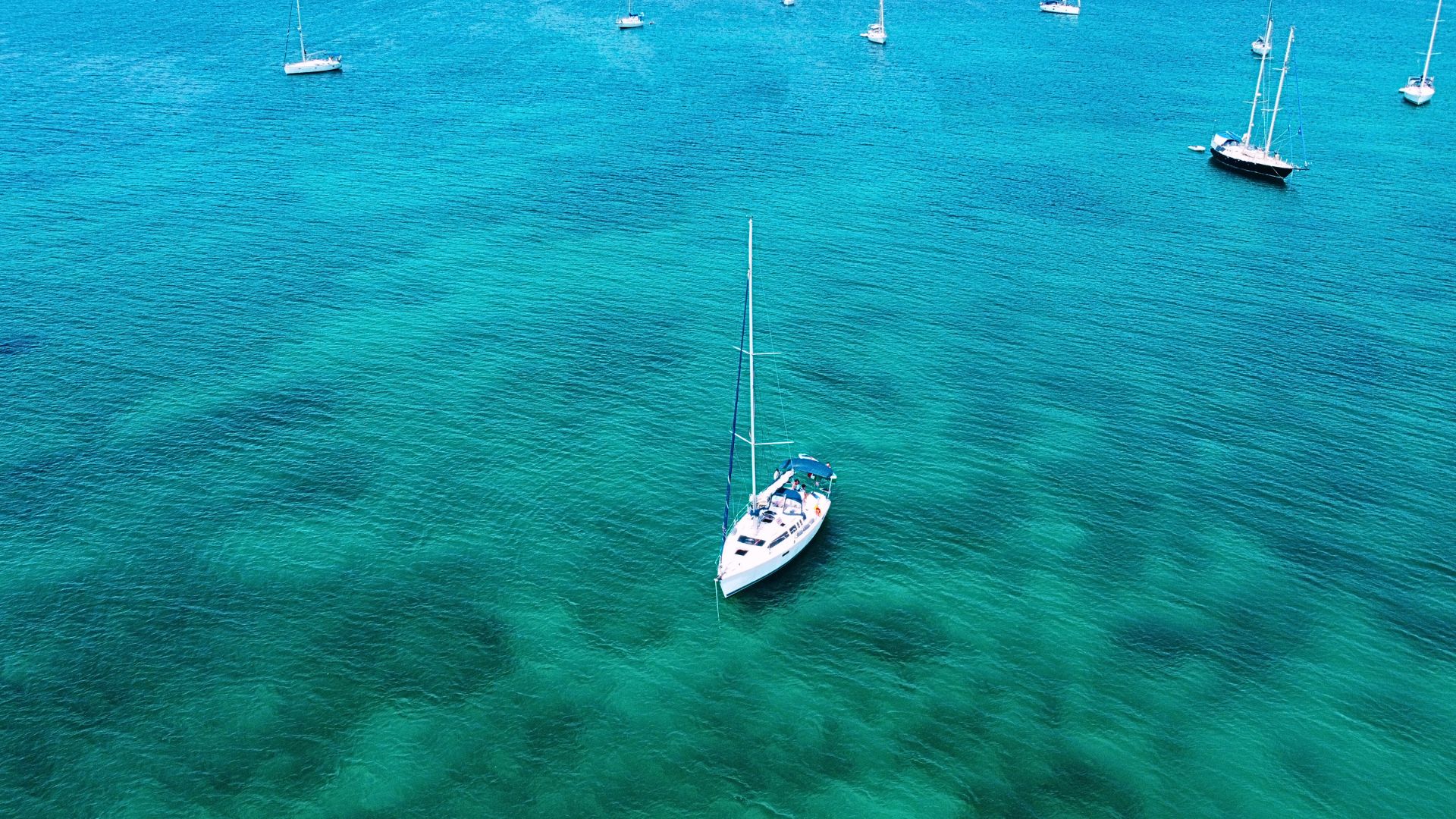 From Alghero: sailing tour in the Porto Conte Park - Photo 15