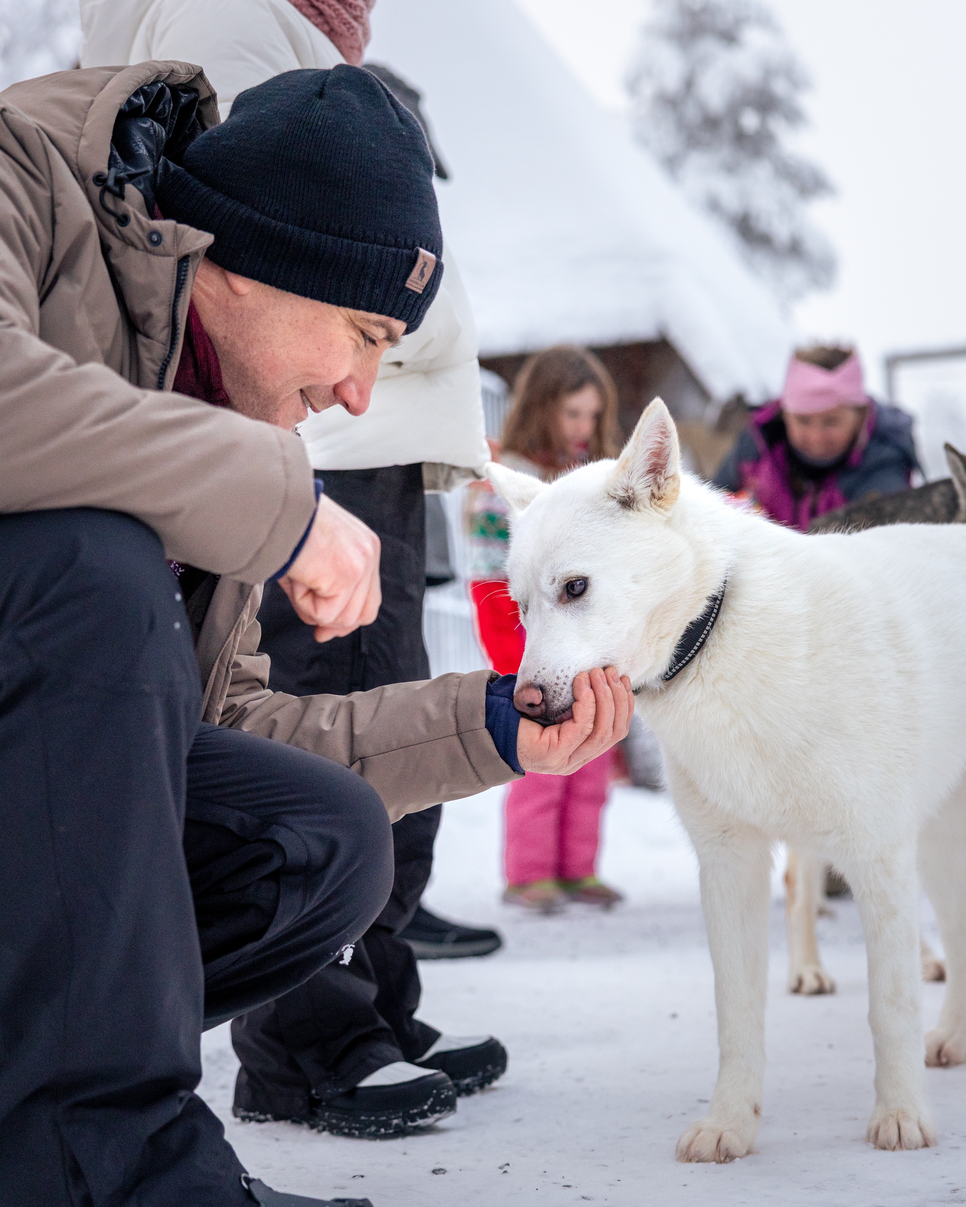 Husky Meet and Greet – Image 2 | WeShare