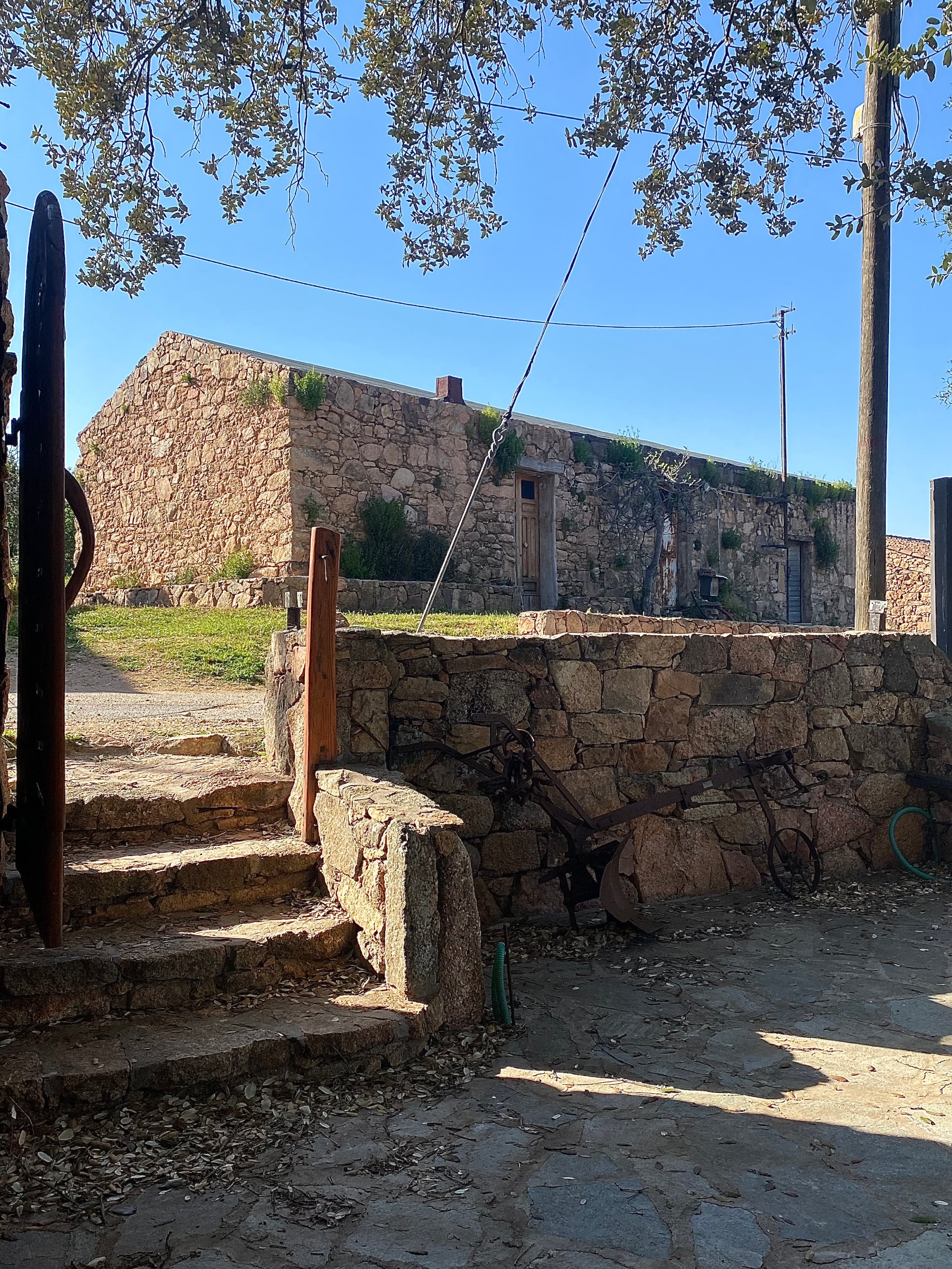 Sardinian pasta workshop in an ancient village in Olbia - Photo 30