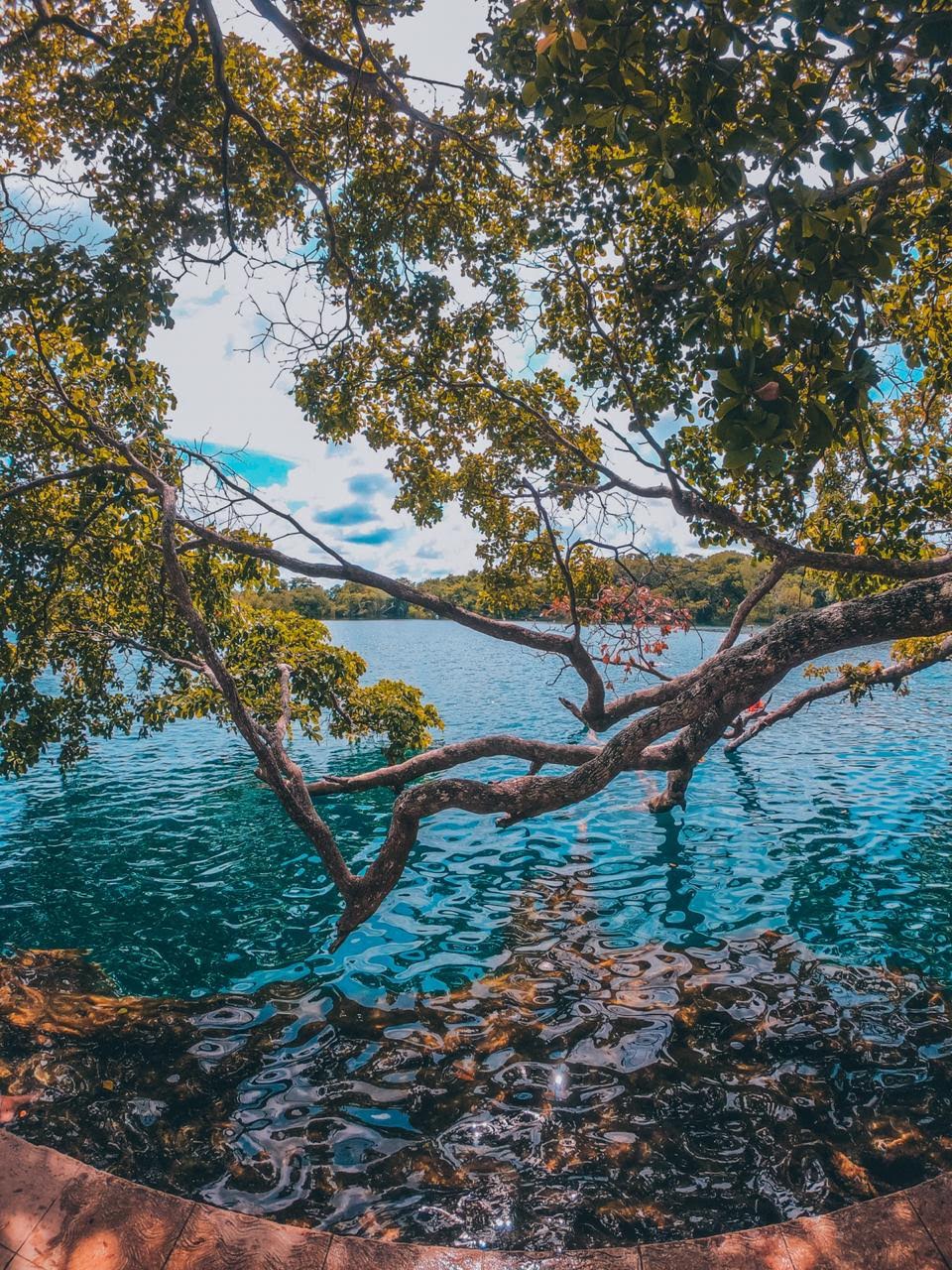 Bacalar + Laguna + Club de playa — 12/12