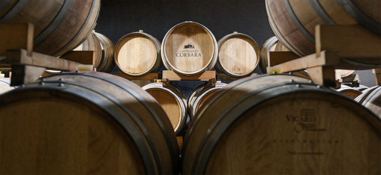 The Wines of Corbara: Exploring the Flavors of Umbria - Photo 6