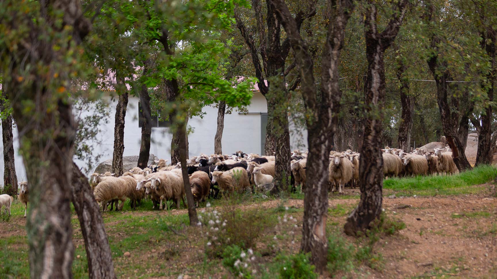 Arzana: visit to a farm with tasting - Photo 9