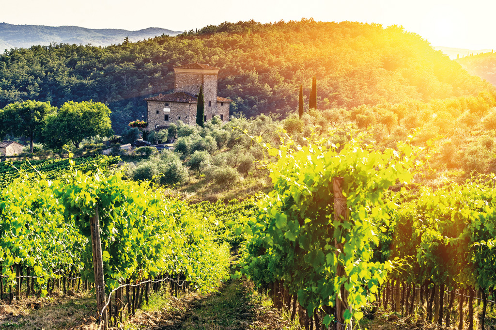 Tuscany e-bike tour from Siena - Photo 8
