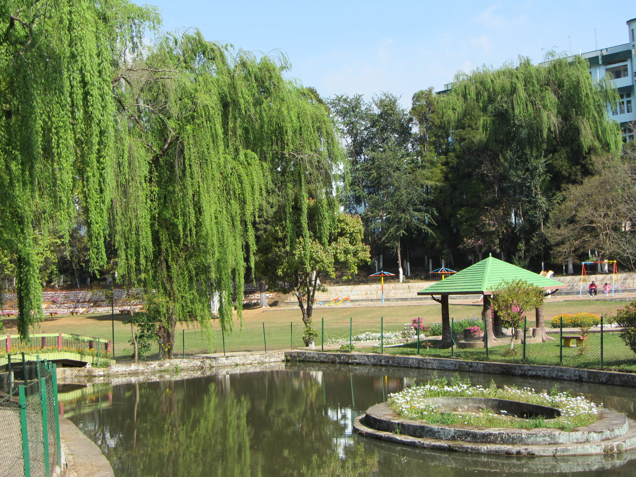Laithmukhrah Walk in Shillong (2 Hours Guided Walking Tour) - Photo 8