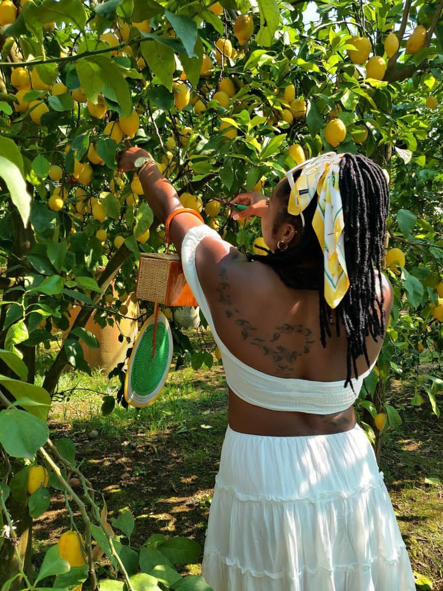 Sorrento: Authentic Lemon Experience at a Local Farmhouse - Photo 5