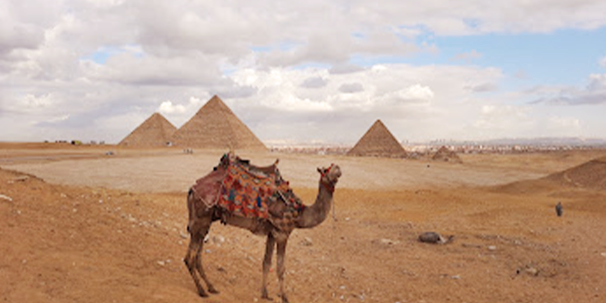 Excursión por la costa de El Cairo desde el puerto de Ain Sokhna con pirámides y GEM - Foto 2