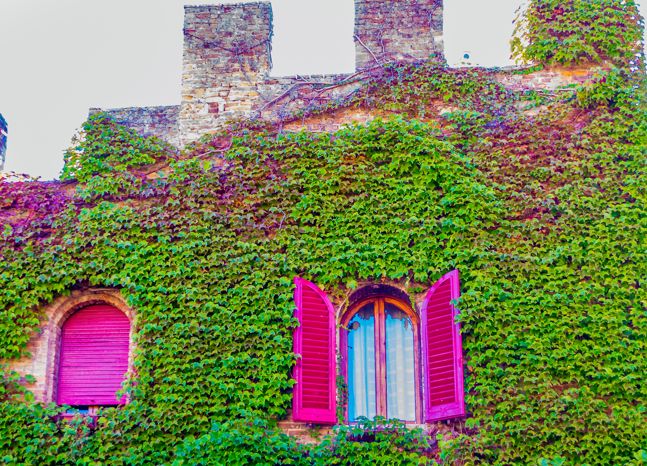 Tuscany Tour from Florence: Small Group Villages, Wine & Cooking Lunch  - Photo 5